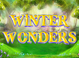 winter wonders