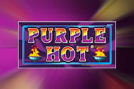 Purple Hot